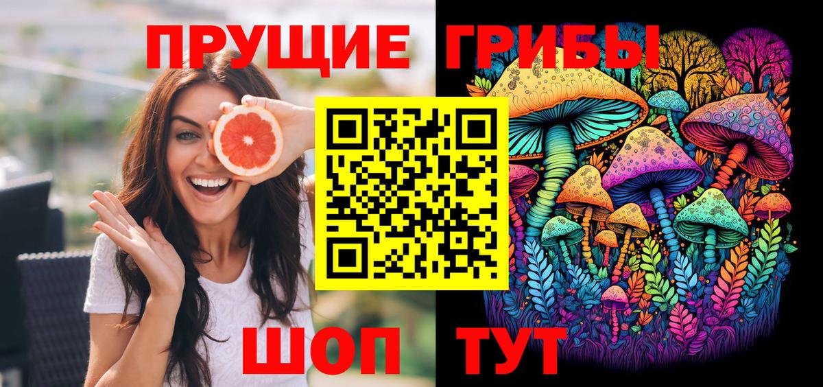 где продают   Галлюциногенные грибы Cubensis  Галлюциногенные грибы прущие грибы  Вход с VPN  Котовск 